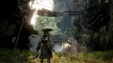 Beast of Reincarnation: Deluxe Edition
