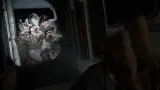 The Last of Us Part II Remastered