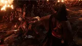 Rise of the Ronin